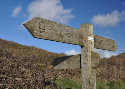 Southwest coast guided tours